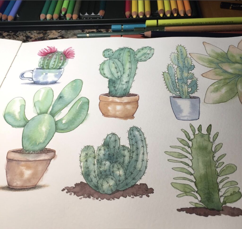 Cactus